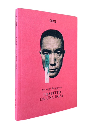 Trafitto da una rosa