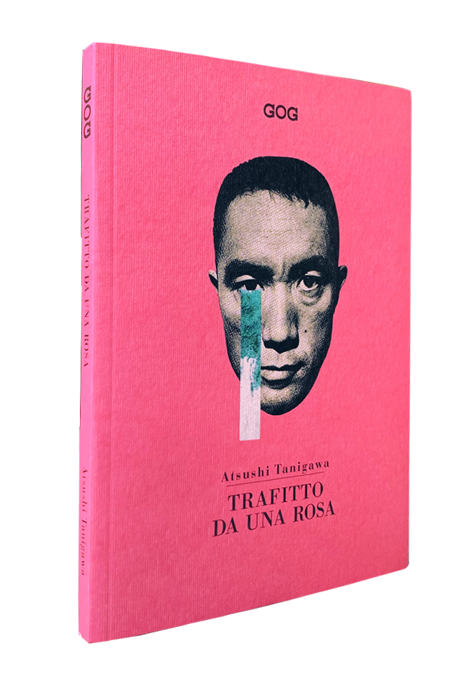 Trafitto da una rosa